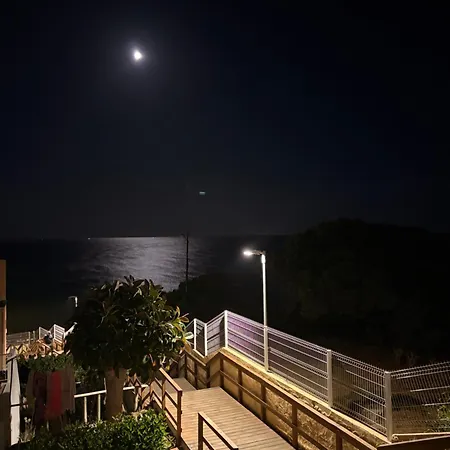 Pomba Branca Albufeira