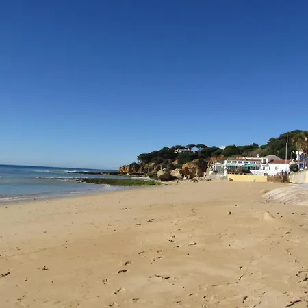Pomba Branca Διαμέρισμα