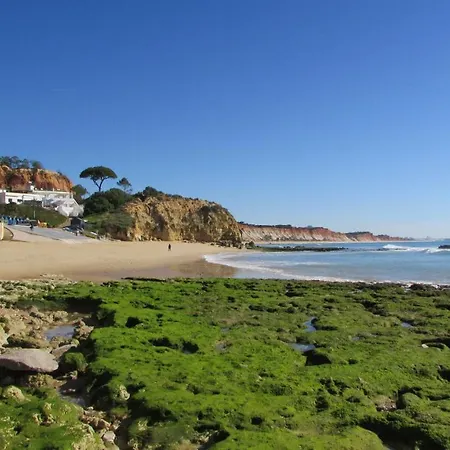 Pomba Branca Apartmán *