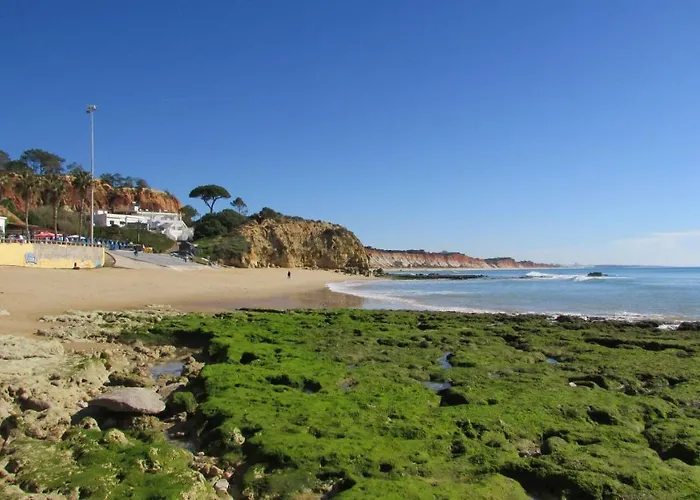 Pomba Branca Apartmán *